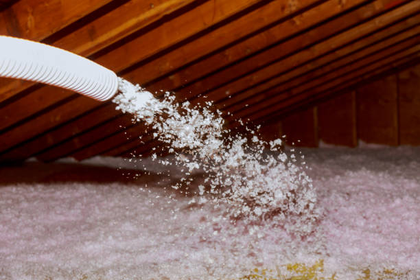 Best Wall Insulation Contractor  in Butner, NC