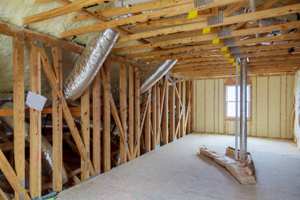 Best Insulation Removal  in Butner, NC