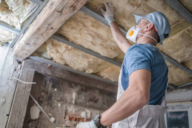 Best Insulation Inspection Services  in Butner, NC