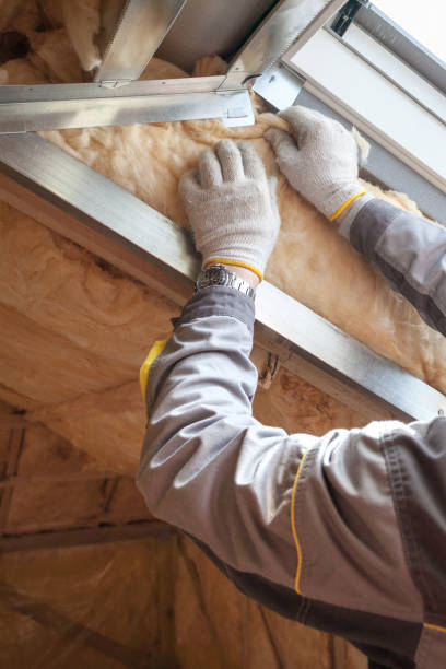 Best Crawl Space Insulation  in Butner, NC
