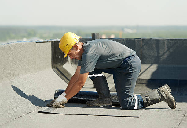 Best Cellulose Insulation  in Butner, NC