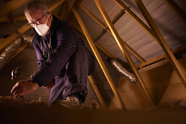 Best Residential Insulation Services  in Butner, NC