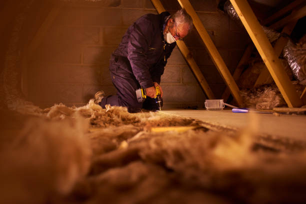 Best Affordable Insulation Services  in Butner, NC
